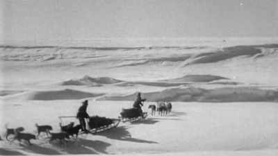 On April 2nd, the six men
pulled by 40 dogs - Tales From The Explorers Club