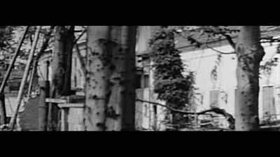 On April 30th, 1945, Adolf
Hitler commits suicide - The Titans That Built America