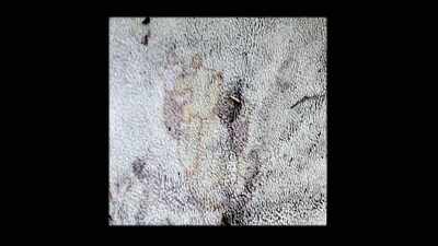 On that blanket was a
small figure of Winnie - Casey Anthony: An American Murder Mystery