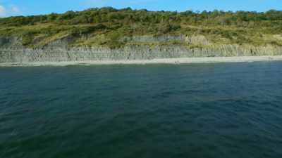 On its floor, sediments
washed down from the land - Attenborough and the Sea Dragon