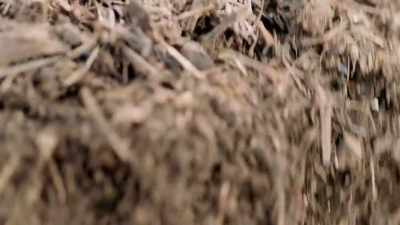 On George's land,
that fuel comes from an unlikely source. - Human: The World Within