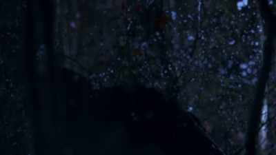 ON HIS WAY HOME,
HE MUST'VE TOSSED - Bloodlands