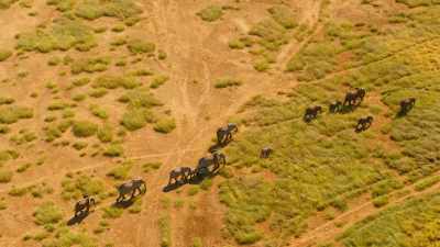 On his journey through life, - Wild Babies