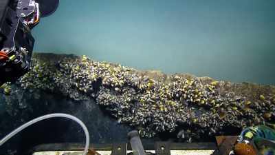 ON ONE SIDE YOU HAVE THIS AMAZING, - Strange Evidence