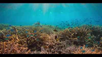 On our journey around the Pacific Ocean, - Our Oceans