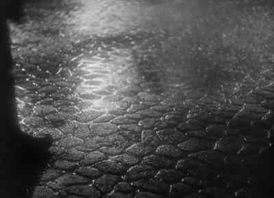 "On that same night." - The Seventh Cross