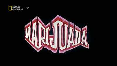 On September 11, 1973, - America's War on Drugs