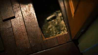 On several occasions,
Nilsen returned to the body, - 35 Serial Killers the World Wants to Forget