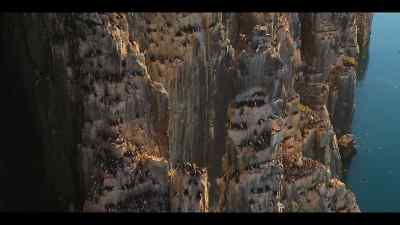 On the 500-foot cliffs
above their feeding grounds, - Our Oceans
