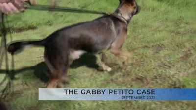 - On the ground and in the air, - #CyberSleuths: The Idaho Murders