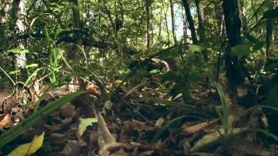 On the hill above us is a burial ground - Loco Ghosts