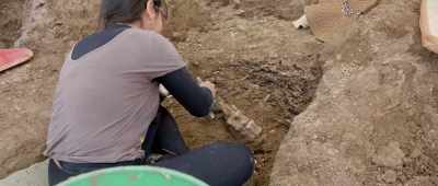 ... on the material inside the bones of dinosaurs, - Is Genesis History?