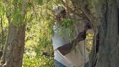     On to the next one, sir. - Swamp People
