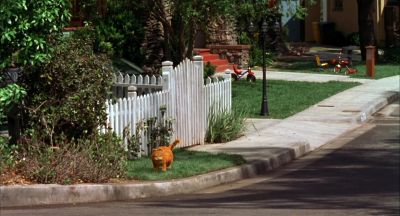 On the other hand - Garfield