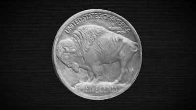 On the other was
an American buffalo, - The American Buffalo