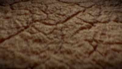 -On the outside of microbes - Human: The World Within