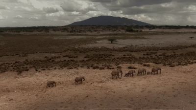 On the plains of Samburu, - Chasing the Rains