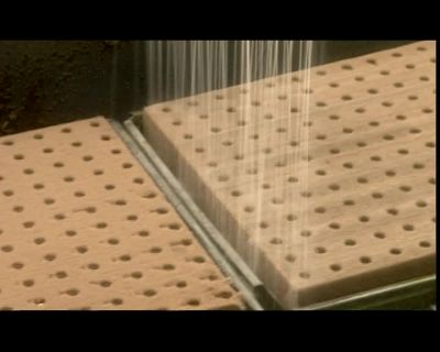 ON THE WAY TO THE GREENHOUSE, - How It's Made