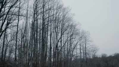On top of repressing the memories, - The Keepers