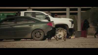 On top of
the trafficking scare, - Murder in Big Horn