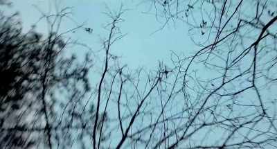 On top there we highlight camera - Gonjiam: Haunted Asylum