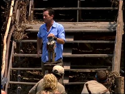 Once again back up for grabs - Survivor