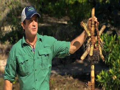 Once again immunity is back up For grabs - Survivor