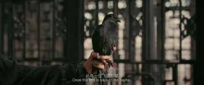 Once this bird returns to the capital, - Full River Red