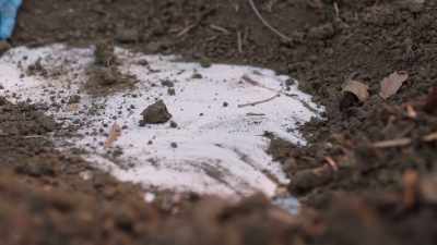 Once we dug deep enough, - Buried In The Backyard