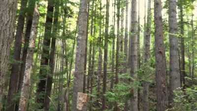 Once we get
on the top here, - Expedition Bigfoot
