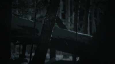 Once you go around that
corner, it's a forest. - The Disappearance of Maura Murray