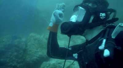 Once we have the perimeter
around the scorpionfish, - Kings of Pain