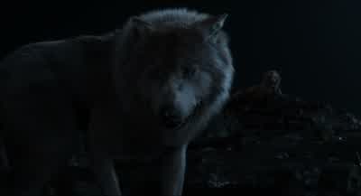 Once he gets word of what happened here... - The Jungle Book