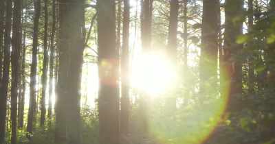 Once you realize that, the
unmiracle becomes a miracle. - The UnMiracle