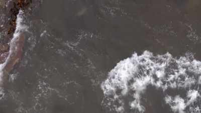 ''Once she's in position, she waits.'' - Secrets of the Whales