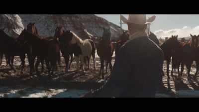 Once you start working them - My Heroes Were Cowboys