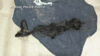 ONCE THAT SHIRT
WAS UNROLLED, - Hometown Homicide