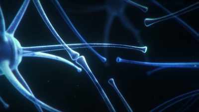 ONCE THE BRAIN
HAS LEARNED SOMETHING, - Why We Hate