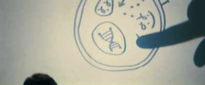 Once the cell's nucleus is infected, - BPM (Beats per Minute)