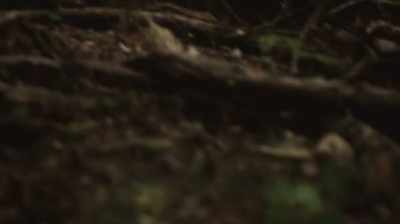 Once the cops got wind
of kelly's blunder, - Six Degrees with Mike Rowe