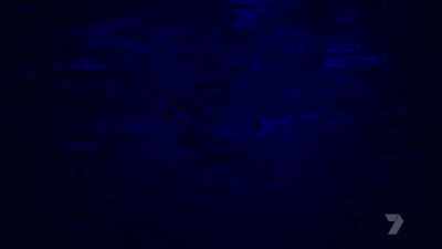Once the decision is made to arrest, - The Real Manhunter