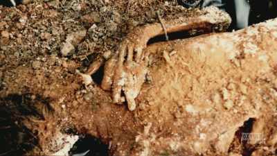 - Once the press caught wind - Manifesto of a Serial Killer