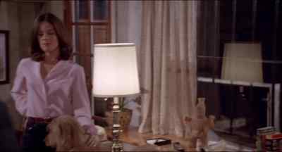 Once the security system is on,
this house is practically impregnable. - An Eye for an Eye