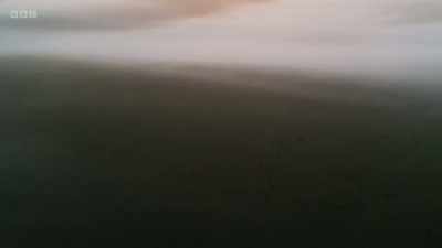 Once there were vast scrub-covered
wildernesses, - Wild Isles