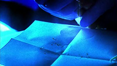 One bullet exited. - CSI: Crime Scene Investigation