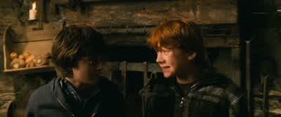 One, but it's not powerfulenough for all of them. - Harry Potter and the Chamber of Secrets