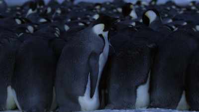 One by one, - Dynasties
