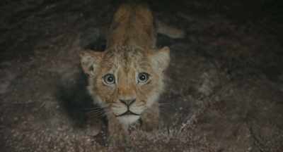 One day, during a big storm, - Mufasa: The Lion King