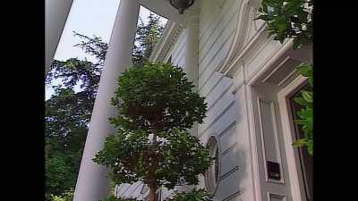 One day we filmed maybe - The Fresh Prince of Bel Air Reunion