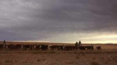 One day, I counted
up how many states I bought cattle in - Jews of the Wild West